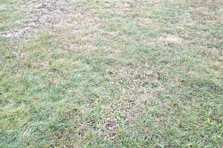 Lokacija: Podravska, Rače - Fram, Rače