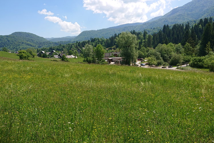 Lokacija: Gorenjska, Bohinj, Bohinjska Bistrica