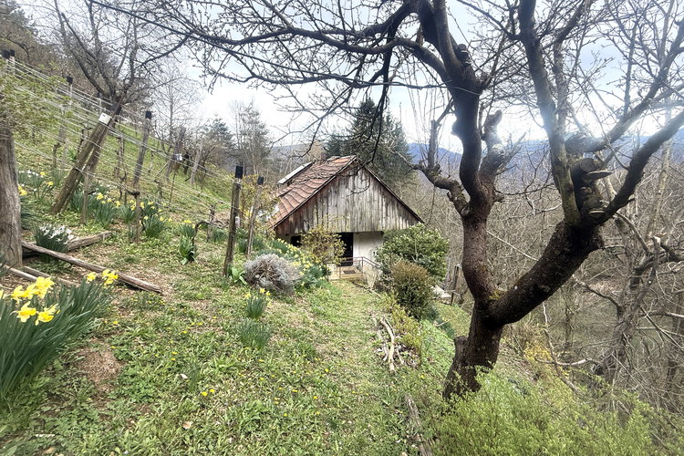 Location: Podravska, Selnica ob Dravi, Janževa Gora