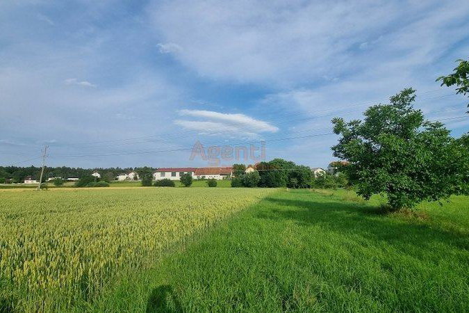 Lokacija: Podravska, Slovenska Bistrica, Zgornja Polskava