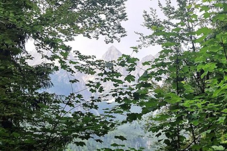 Location: Gorenjska, Kranjska Gora, Gozd Martuljek