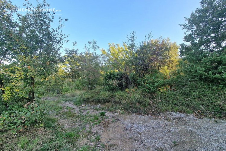 Lokacija: Obalno - kraška, Izola, Cetore