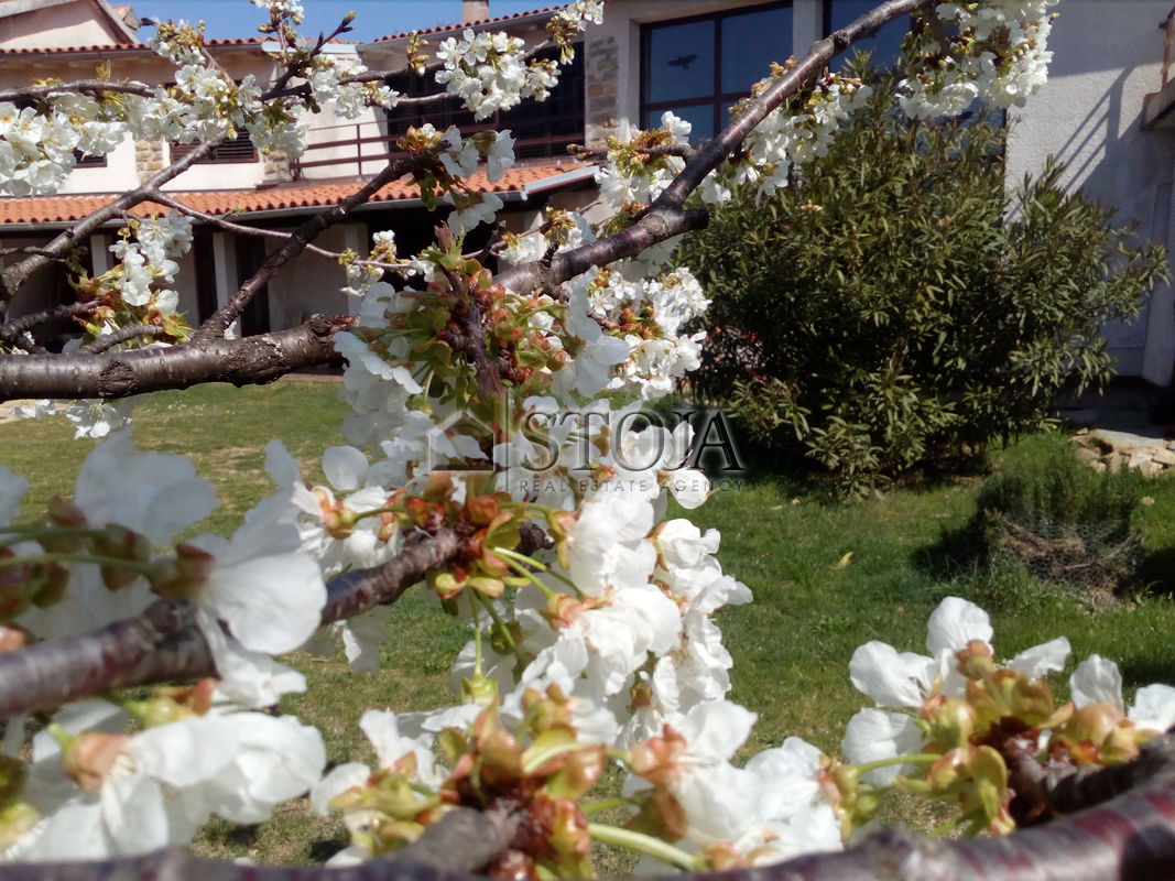 Lokacija: Obalno - kraška, Koper