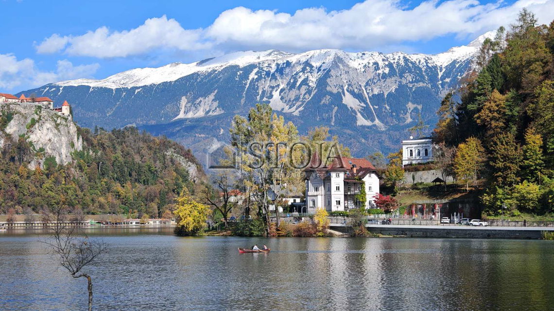 Lokacija: Gorenjska, Bled, Bled