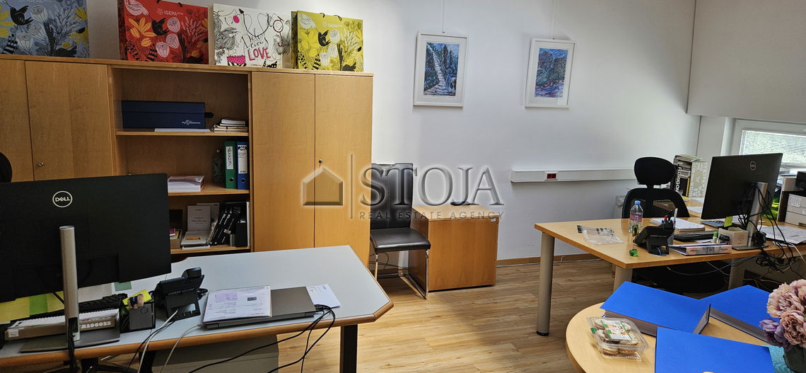 Lokacija: Ljubljana mesto, Moste-Polje, BTC