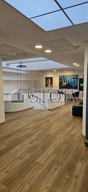 Lokacija: Ljubljana mesto, Moste-Polje, BTC