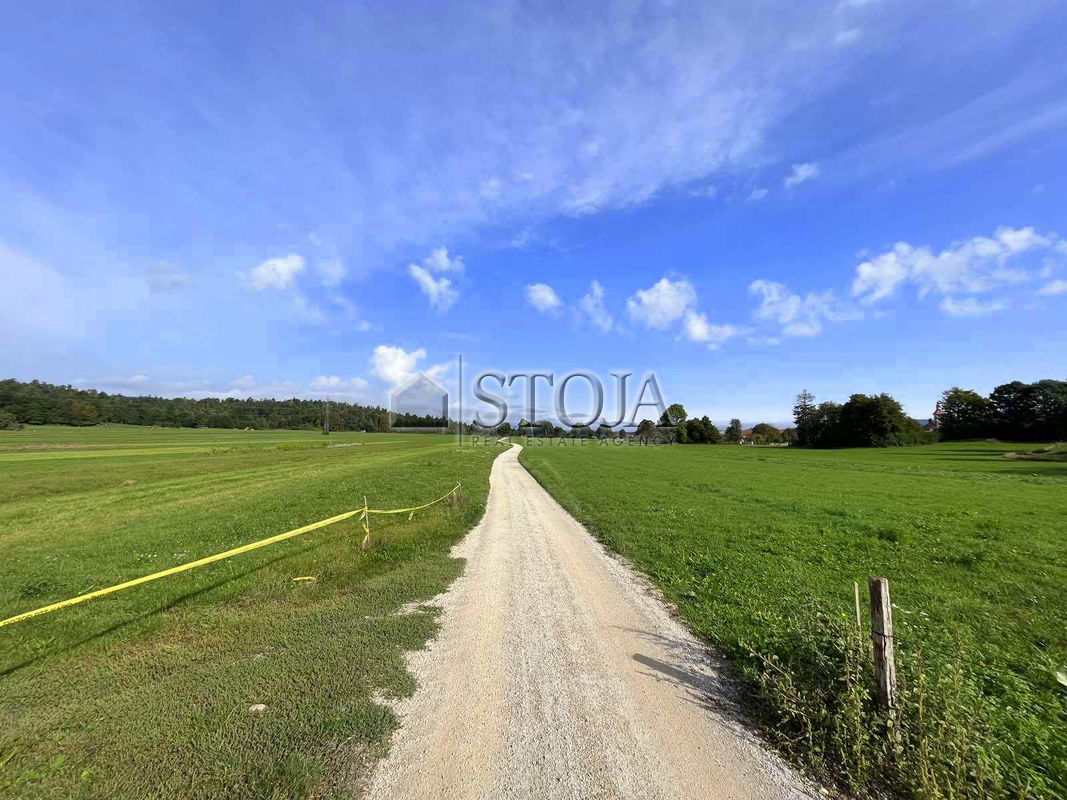 Location: Notranjsko - Kraška, Postojna