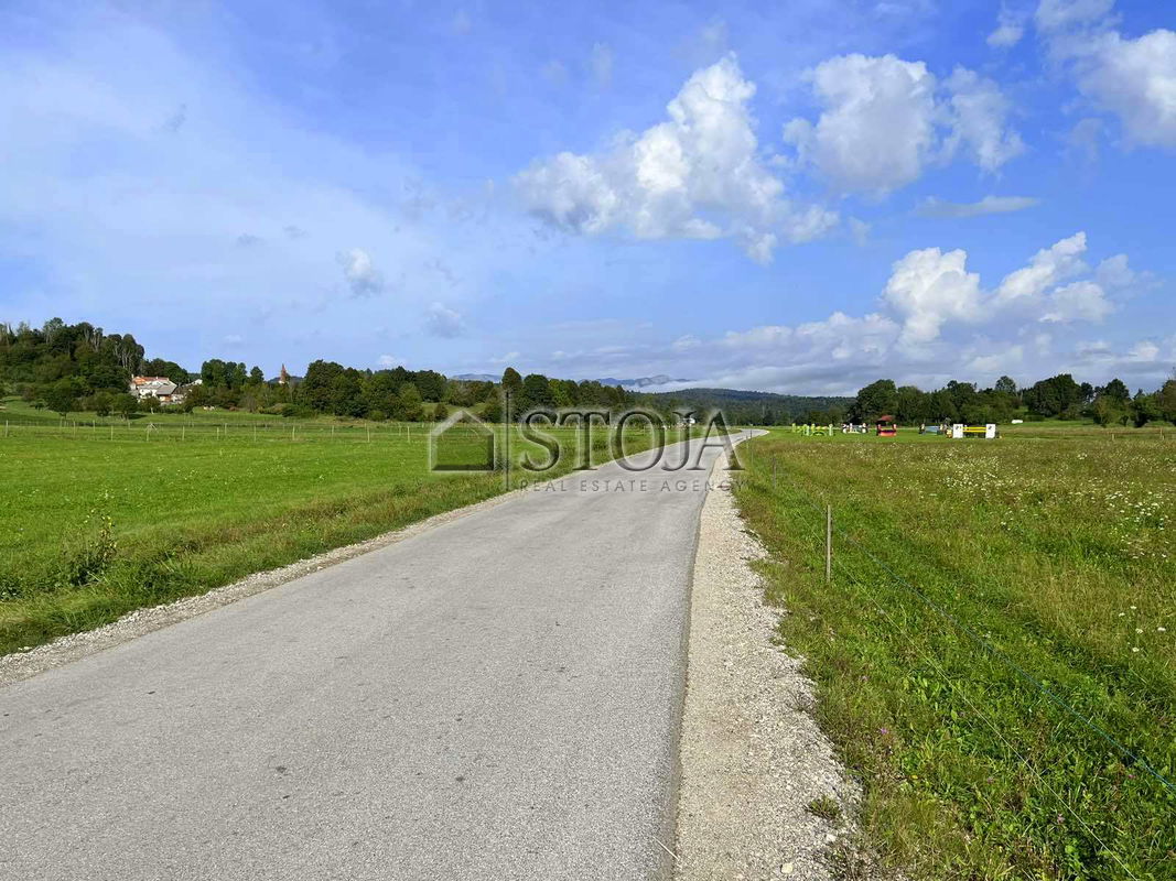 Location: Notranjsko - Kraška, Postojna