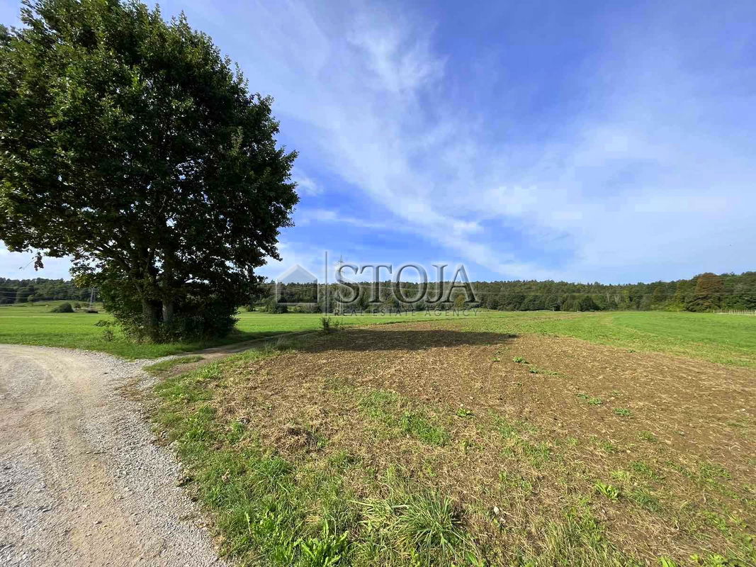 Location: Notranjsko - Kraška, Postojna