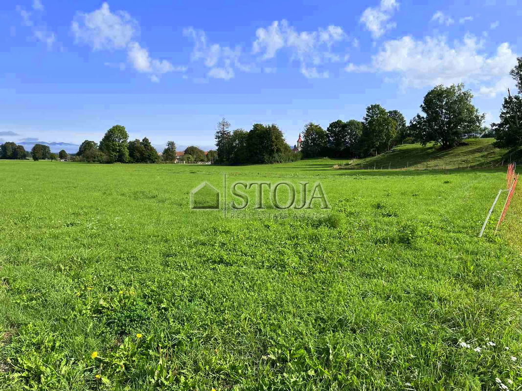 Location: Notranjsko - Kraška, Postojna