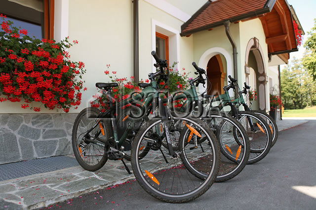Location: Gorenjska, Radovljica, Lesce