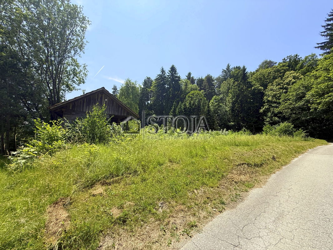 Location: Ljubljana Surroundings, Dobrova - Polhov Gradec, Šujica