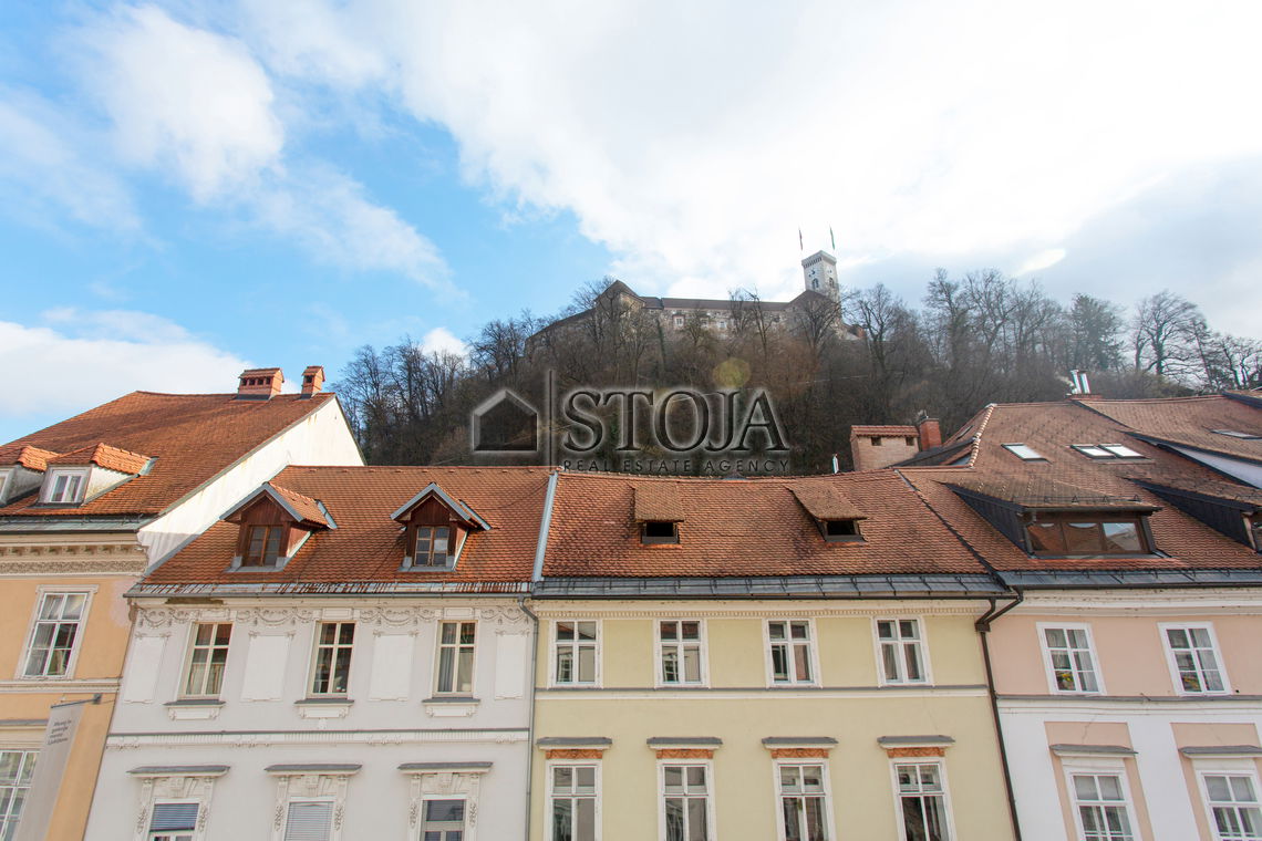 Lokacija: Ljubljana mesto, Center, Stara Ljubljana
