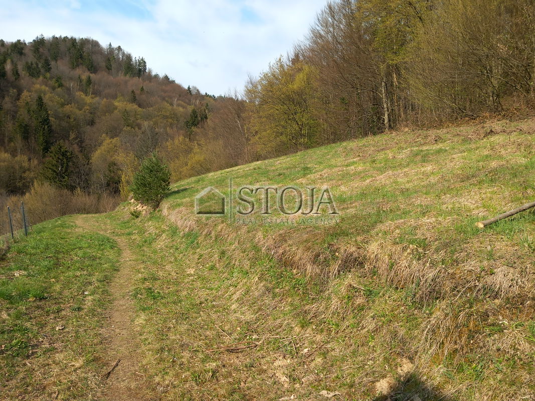 Location: Ljubljana City, Moste-Polje, Besnica