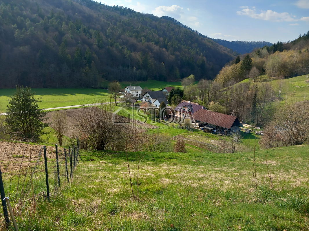 Location: Ljubljana City, Moste-Polje, Besnica