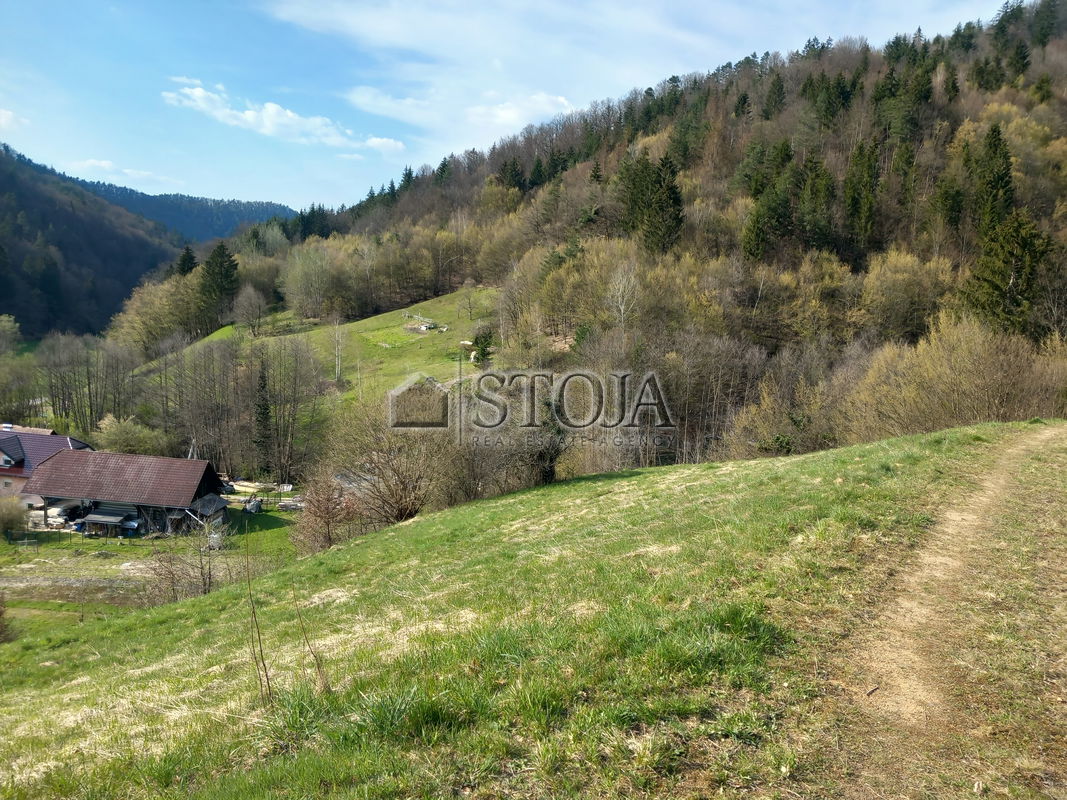 Location: Ljubljana City, Moste-Polje, Besnica