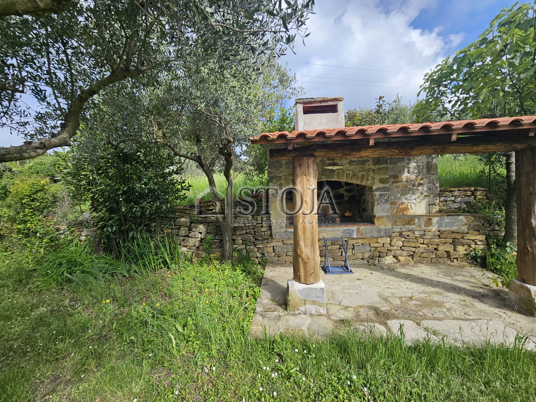 Lokacija: Obalno - kraška, Koper, Semedela