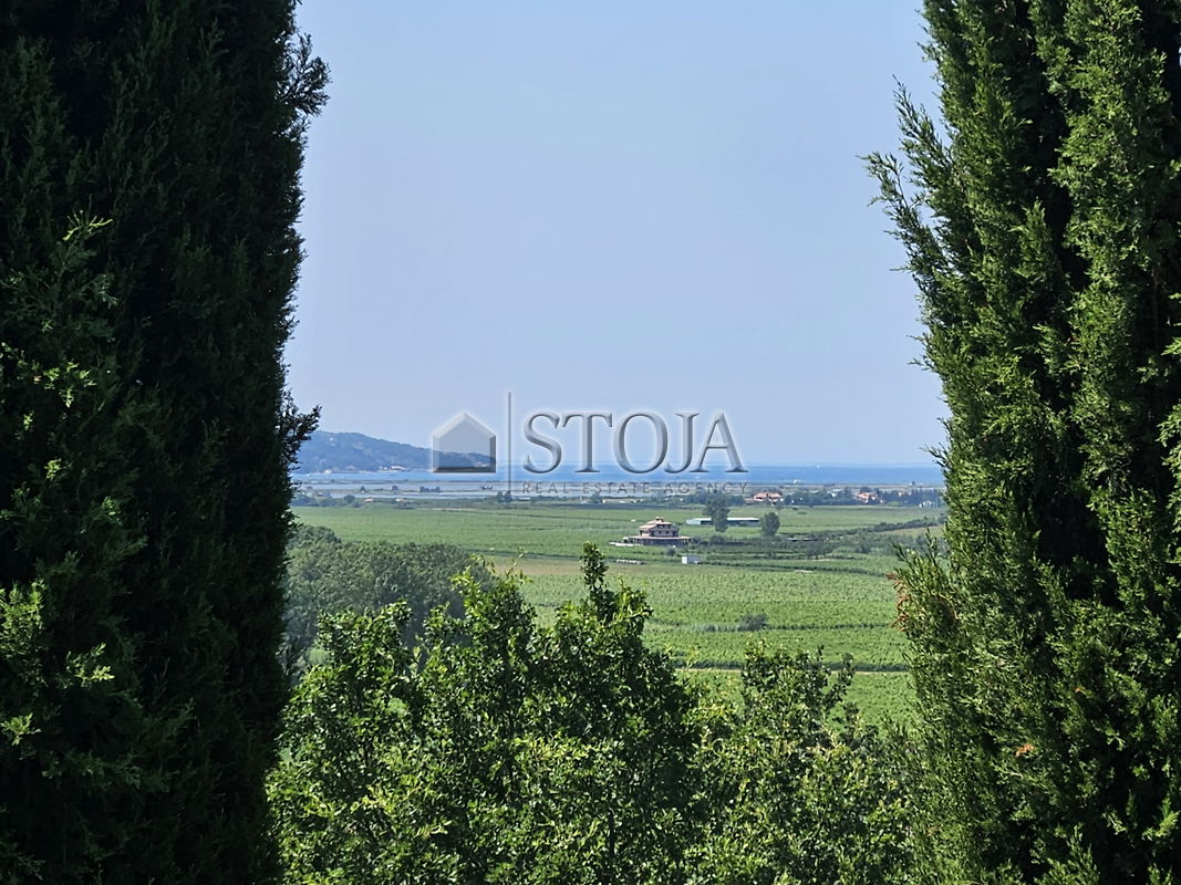 Location: Coastal-Karst, Piran, Dragonja