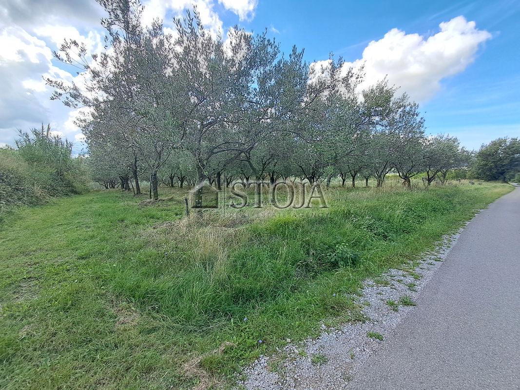 Lokacija: Obalno - kraška, Koper, Grintovec