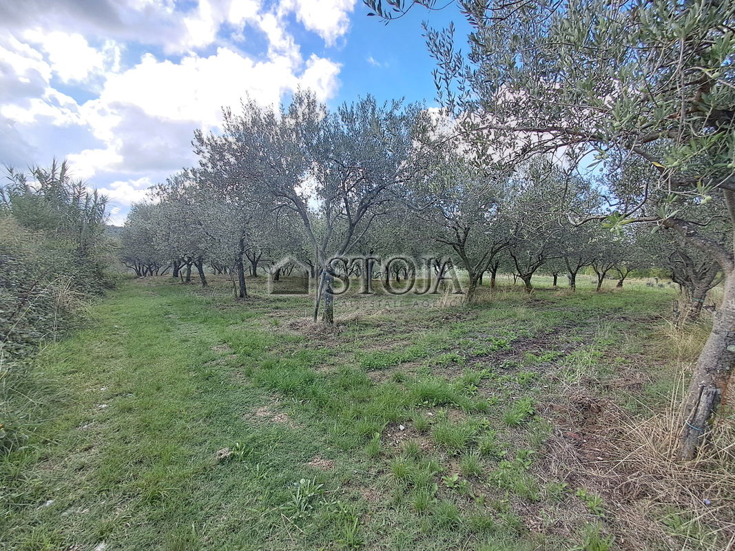 Location: Coastal-Karst, Koper, Grintovec