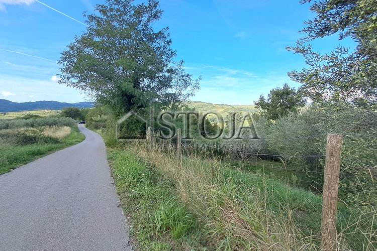 Lokacija: Obalno - kraška, Koper, Grintovec