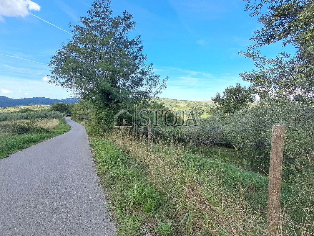 Lokacija: Obalno - kraška, Koper, Grintovec