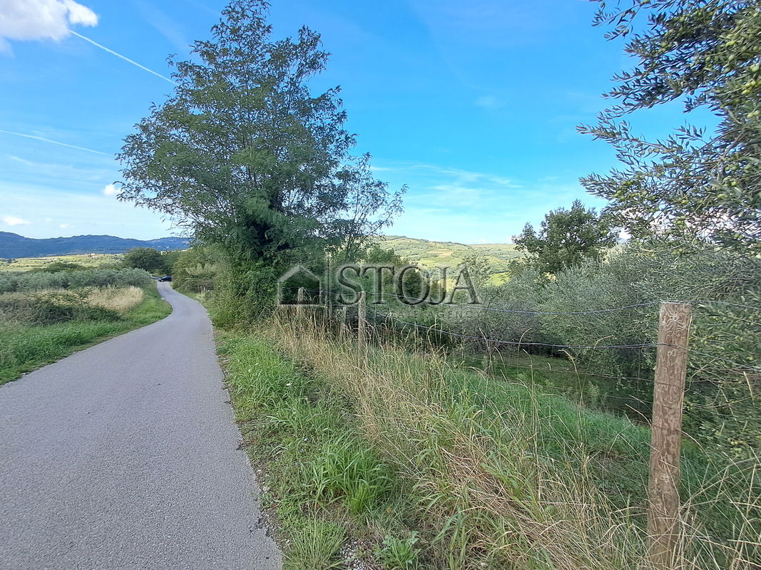 Location: Coastal-Karst, Koper, Grintovec