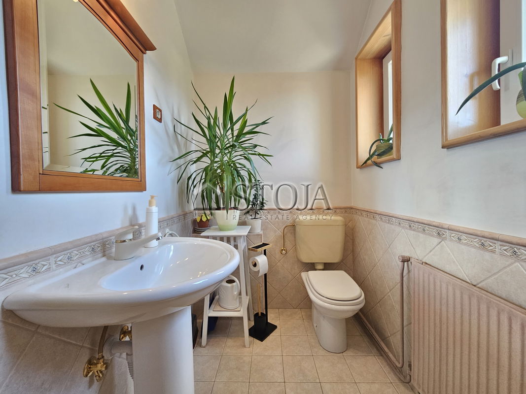 Location: Ljubljana City, Vič-Rudnik, Rožna dolina