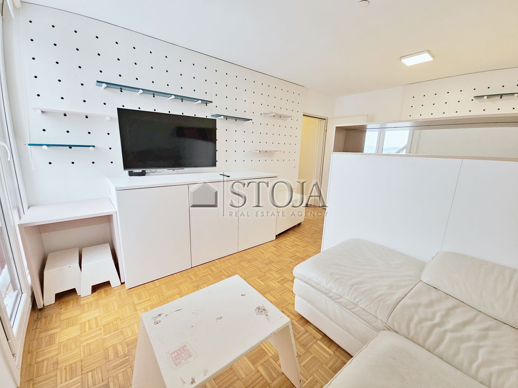 Location: Ljubljana City, Vič-Rudnik, Trnovo