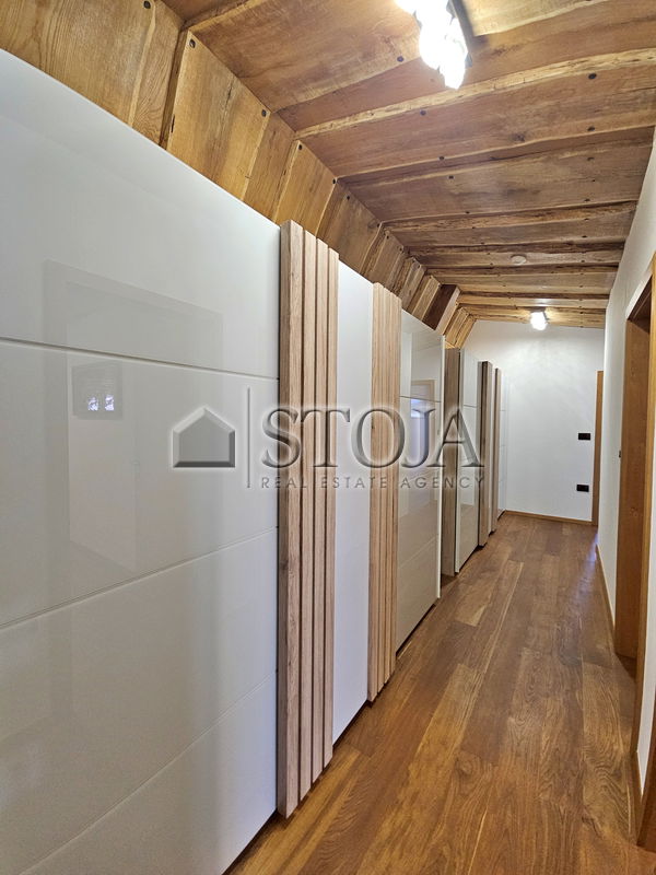 Location: Ljubljana City, Bežigrad