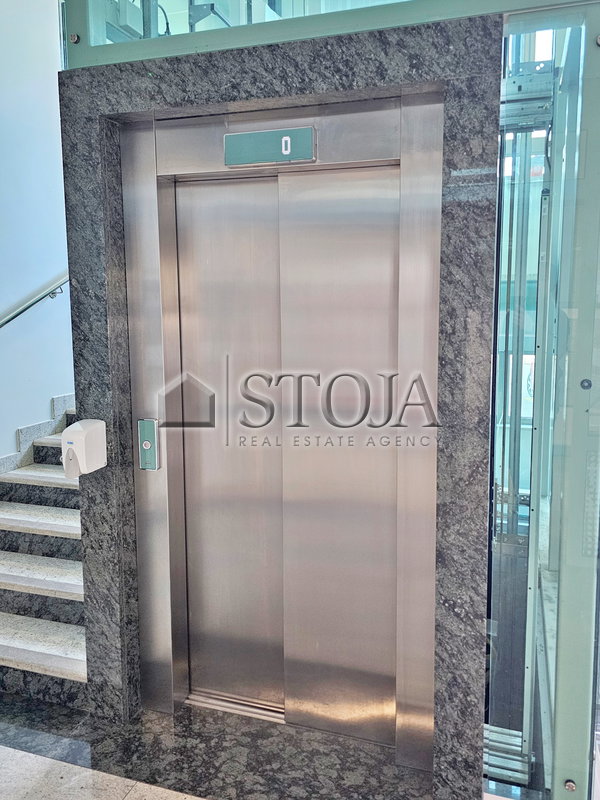 Location: Ljubljana mesto, Vič-Rudnik, Murgle