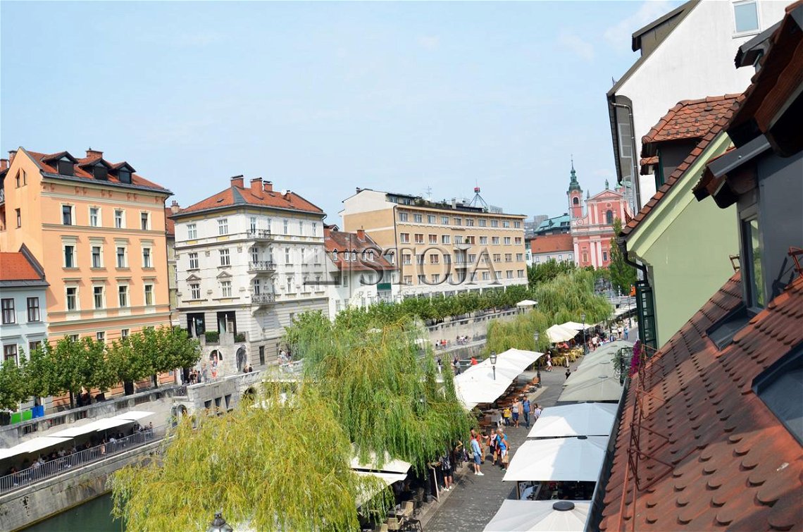 Lokacija: Ljubljana mesto, Center, Center