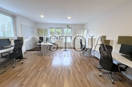 Location: Ljubljana Surroundings, Brezovica, Brezovica pri Ljubljani