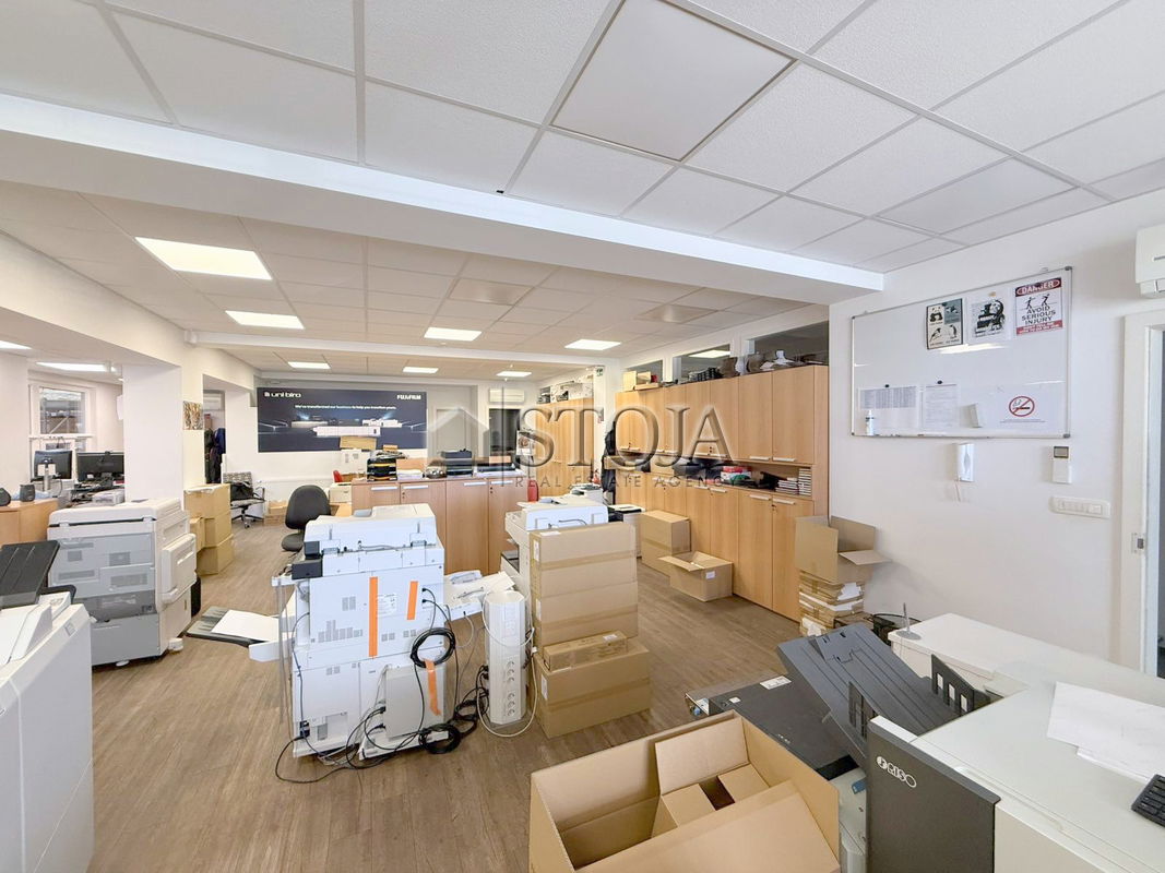 Location: Ljubljana mesto, Bežigrad, Savlje