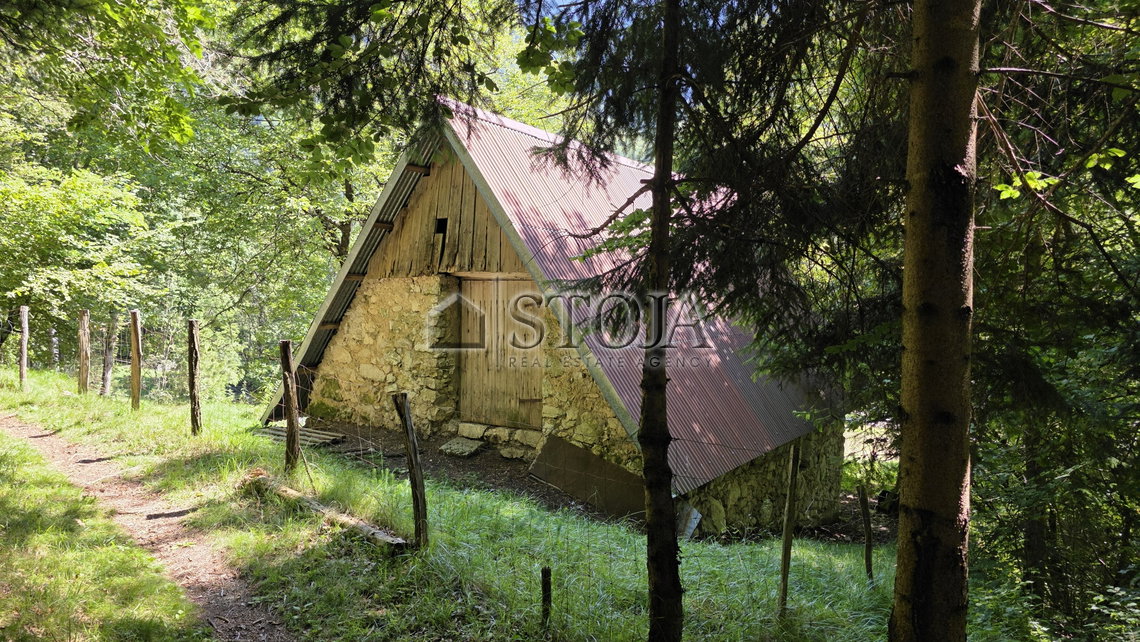 Lokacija: Goriška, Bovec, Log pod Mangartom