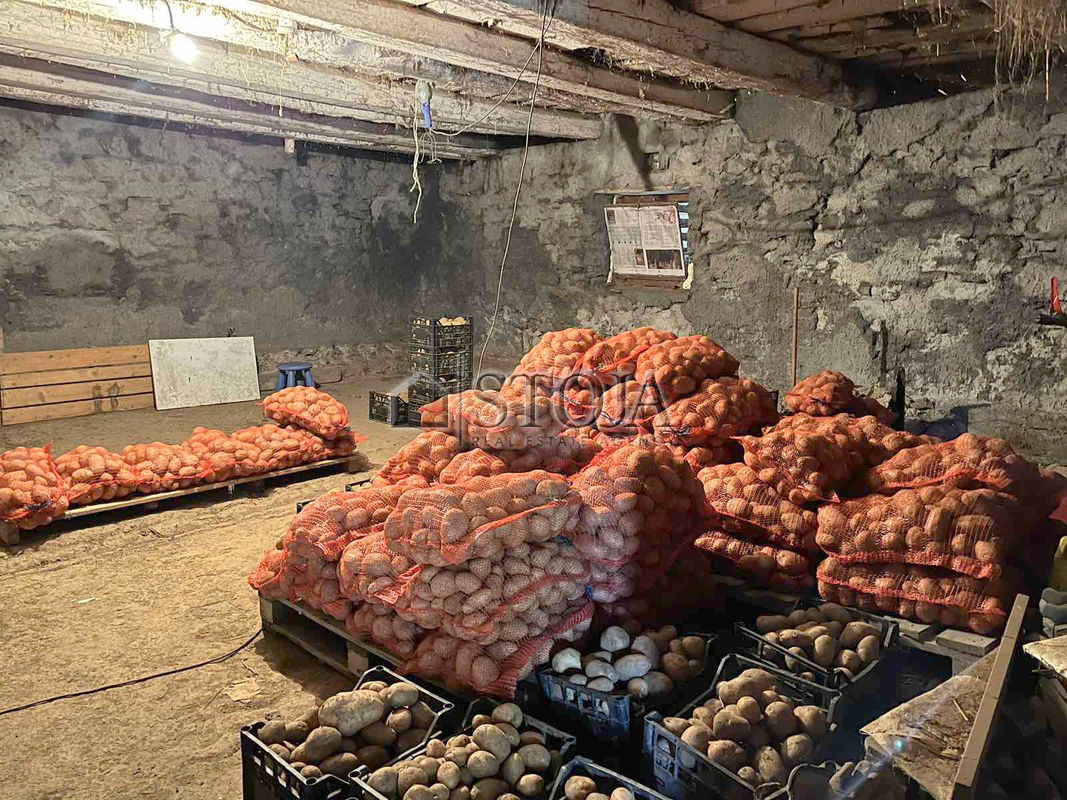 Location: Notranjsko - Kraška, Postojna