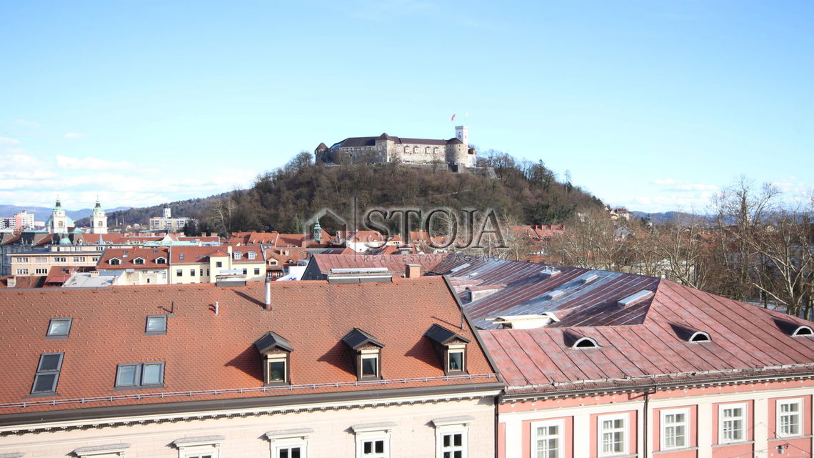 Lokacija: Ljubljana mesto, Center, Center