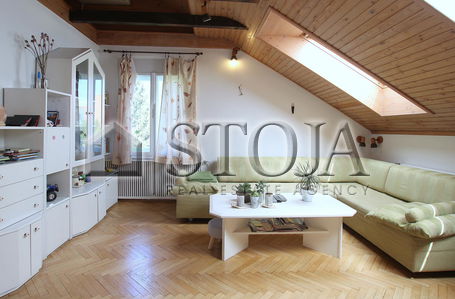 Lokacija: Ljubljana mesto, Vič-Rudnik, Rožna dolina