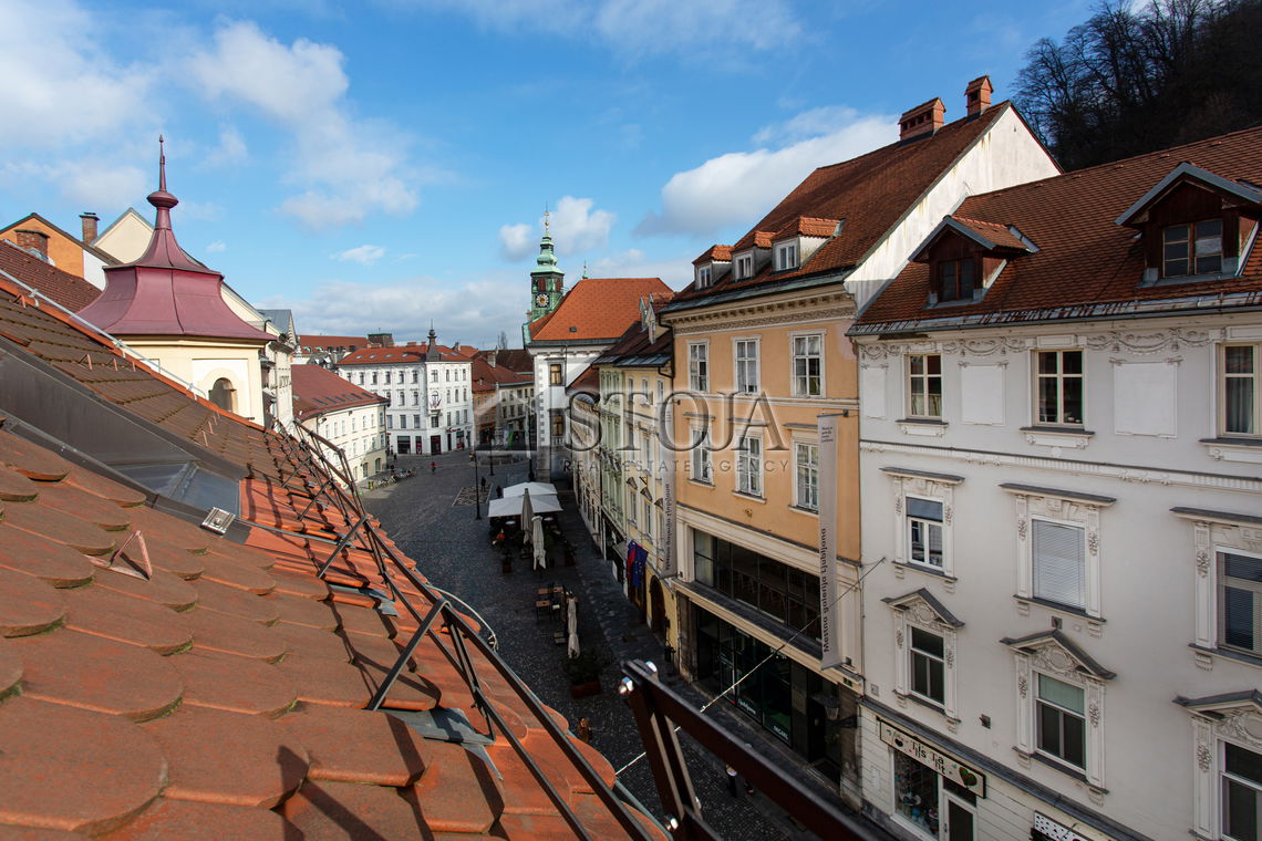 Lokacija: Ljubljana mesto, Center, Stara Ljubljana