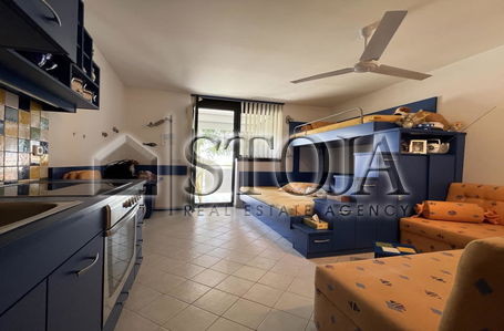 Location: Croatia, Poreč
