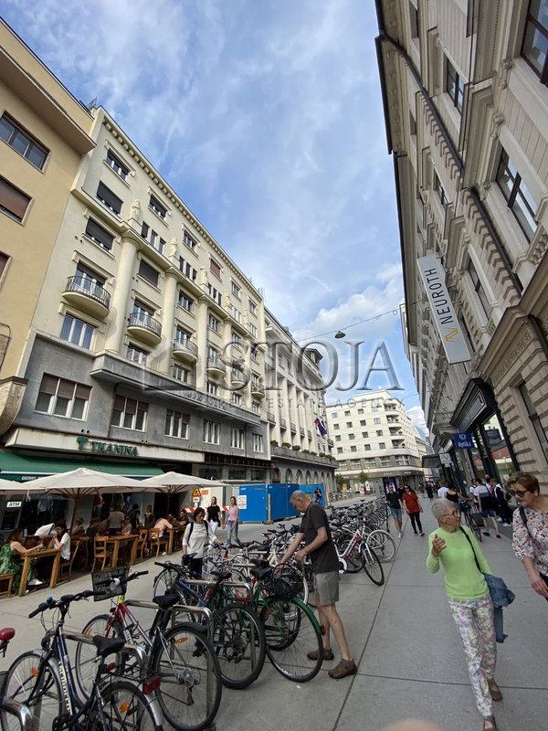 Location: Ljubljana mesto, Center, Center
