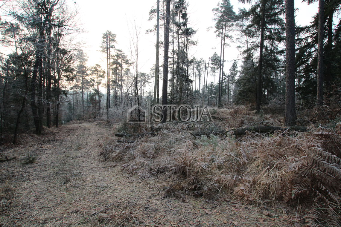 Location: 