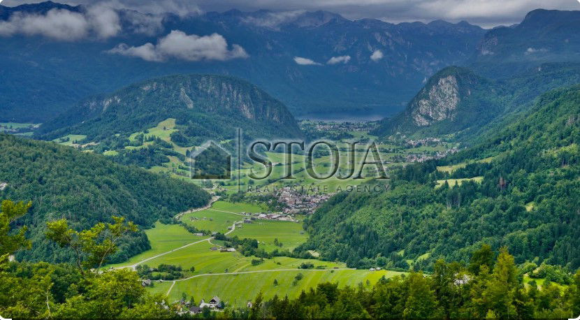 Location: Gorenjska, Bohinj, Bohinjska Bistrica