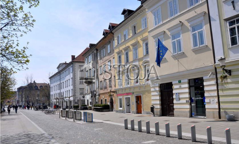 Lokacija: Ljubljana mesto, Center, Center