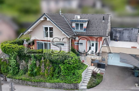 Lokacija: Ljubljana okolica, Vrhnika, Vrhnika
