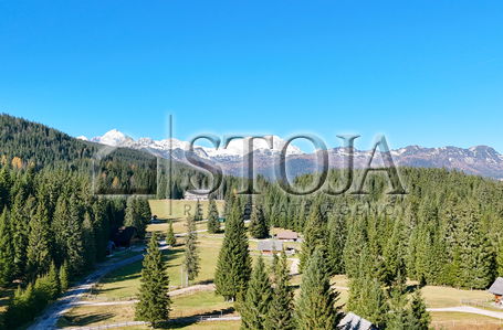 Lokacija: Gorenjska, Bohinj, Goreljek