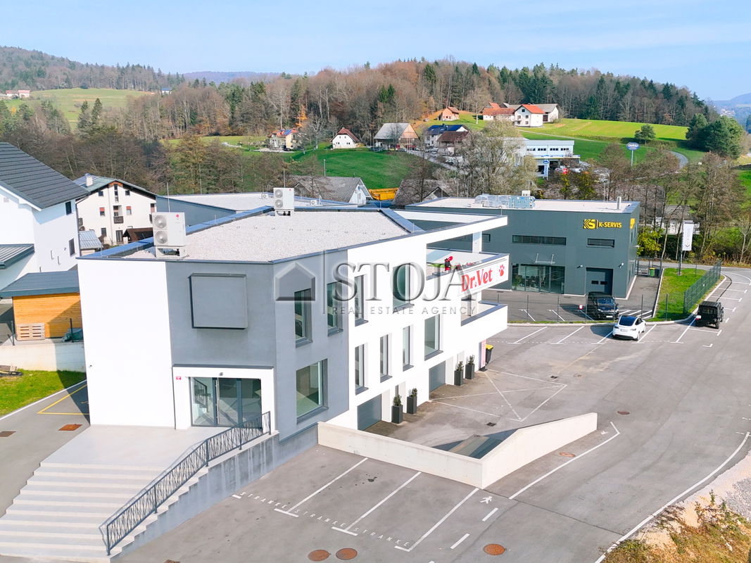 Location: Ljubljana Surroundings, Grosuplje, Grosuplje