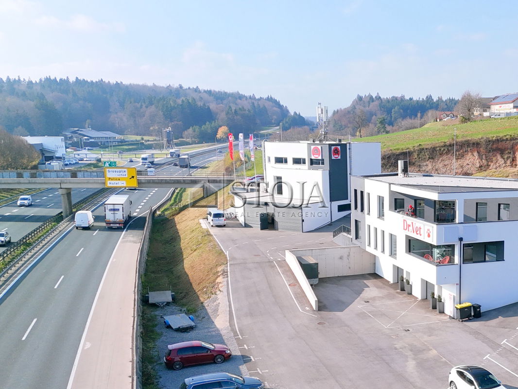 Lokacija: Ljubljana okolica, Grosuplje, Grosuplje