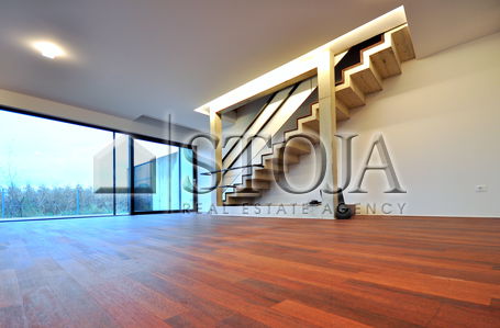 Location: Ljubljana City, Vič-Rudnik, Rudnik