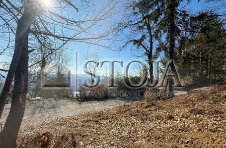 Lokacija: Ljubljana mesto, Moste-Polje, Janče